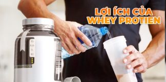 Whey Protein là một chát bổ sung giúp hấp thụ triệt để và nhanh chóng hơn. Lợi ích của Whey Protein được rất nhiều người dùng công nhận