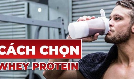 Whey protein là một trong những chất bổ sung không thể thiếu với người tập Gym, Hãy cùng thehinhchanel.com tìm hiểu cách chọn whey Protein nào tốt nhất nhé