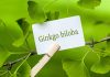Ginkgo biloba - một thảo dược quý được phát hiện từ xa xưa trên trái đất và hiện nay được trồng nhiều nơi trên thế giới. Chúng ta cùng tìm hiểu về những công...
