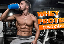 Tham khảo bài viết để biết thêm thông tin về các thành phần whey Protein nhé