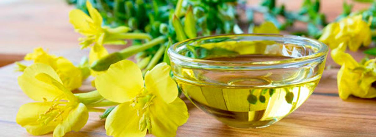 Bạn có biết 10 Lợi ích bổ sung tinh dầu hoa anh thảo với sức khỏe cơ không? Cùng tìm hiểu nội dung bài viết dưới đây nhé!