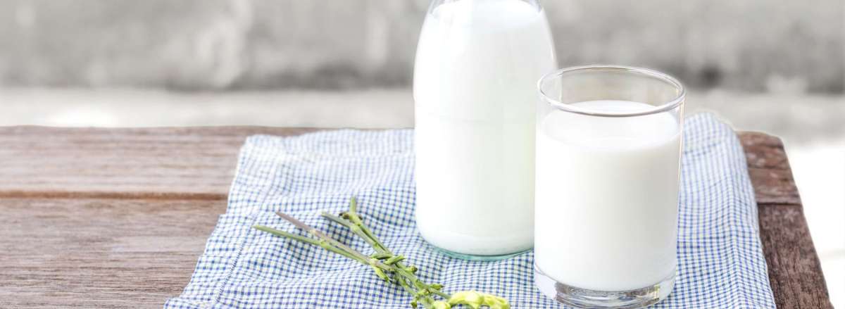 Uống sữa tươi trước khi đi ngủ có thật sự tốt cho sức khoẻ chúng ta? Mời bạn đọc tìm hiểu nội dung bài viết này nhé!