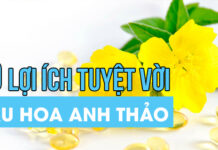Bạn có biết 10 Lợi ích bổ sung tinh dầu hoa anh thảo với sức khỏe cơ không? Cùng tìm hiểu nội dung bài viết dưới đây nhé!