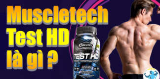Test HD là gì/ Tại sao nam giới nên sử dụng Muscletech Test HD ? Nội dung bài viết dưới đây sẽ giúp bạn trả lời các câu hỏi này nhé!