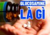 Glucosamine là gì? Nên bổ sung Glucosamine loại nào tốt? Thể hình Chanel sẽ giúp bạn trả lời qua chi tiết bài viết dưới đây...