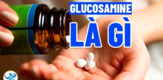 Glucosamine là gì? Nên bổ sung Glucosamine loại nào tốt? Thể hình Chanel sẽ giúp bạn trả lời qua chi tiết bài viết dưới đây...
