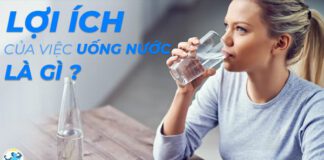 Lợi ích của nước với cơ thể là gì? uống nước nhiều có mập không? chi tiết bài viết dưới đây Thể Hình Chanel sẽ giúp bạn trả lời câu hỏi...