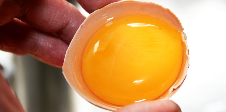 Người tập gym ăn trứng gà sống có tốt không? Nội dung bài viết dưới đây sẽ gợi ý giúp bạn cách ăn trứng sao cho ăn trứng hấp thu được nhiều dưỡng chất...