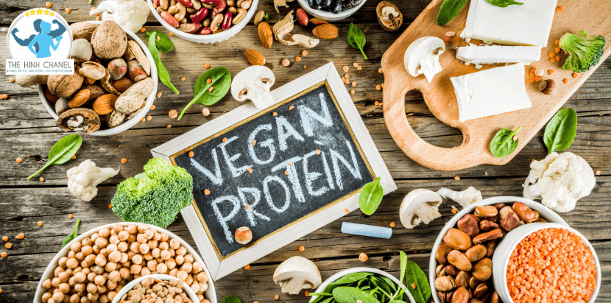 Bạn biết gì về nguồn Protein thực vật, và những lợi ích nó mang lại? Tham khảo ngay bìa viết cùng 50 thực phẩm giàu protein thực vật...