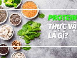 Bạn biết gì về nguồn Protein thực vật, và những lợi ích nó mang lại? Tham khảo ngay bìa viết cùng 50 thực phẩm giàu protein thực vật...
