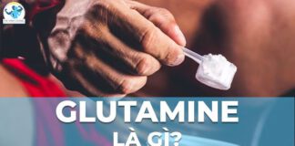 Glutamine là gì? Việc sử dụng chất này một cách khoa học có thể giúp bạn đạt được kết quả gì trong quá trình luyện tập? Cùng tìm hiểu qua chi tiết bài viết dưới đây nhé!