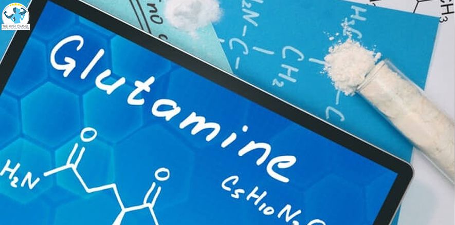 Glutamine là gì? Việc sử dụng chất này một cách khoa học có thể giúp bạn đạt được kết quả gì trong quá trình luyện tập? Cùng tìm hiểu qua chi tiết bài viết...