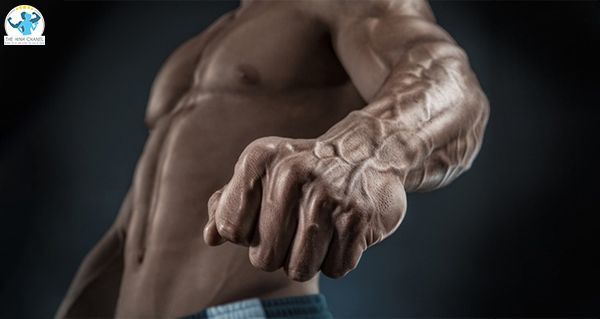 cẳng tay khỏe mạnh, cơ bắp sẽ giúp hỗ trợ rất nhiều trong những bài tập khác và nhiều trong cuộc sống của bạn cùng tham khảo 9 bài tập cẳng tay không tạ...