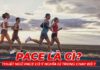 Pace là gì? Tìm hiểu thuật ngữ Pace có ý nghĩa gì trong chạy bộ ? Mời các bạn cùng tìm hiểu qua bài viết dưới đây để biết được Pace có tác dụng gì nhé!...